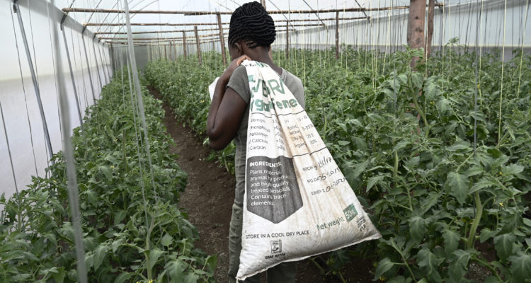 Agence France-Presse