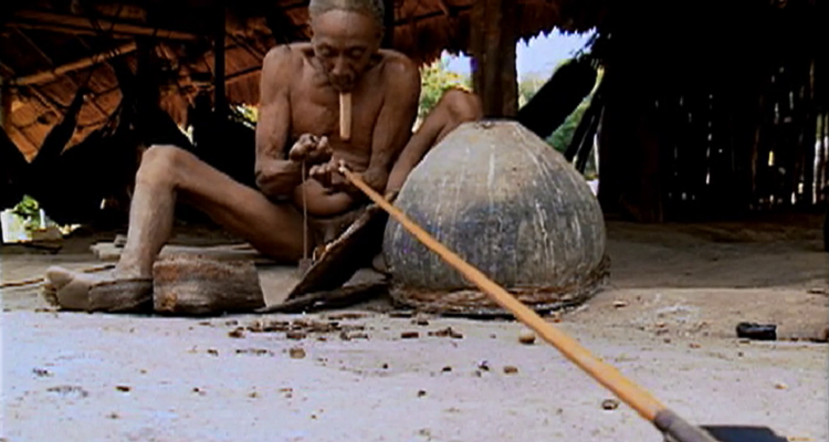 Al encuentro de los Zoe, Vincente Carelli, Muestra Cine+Video Indígena (c)