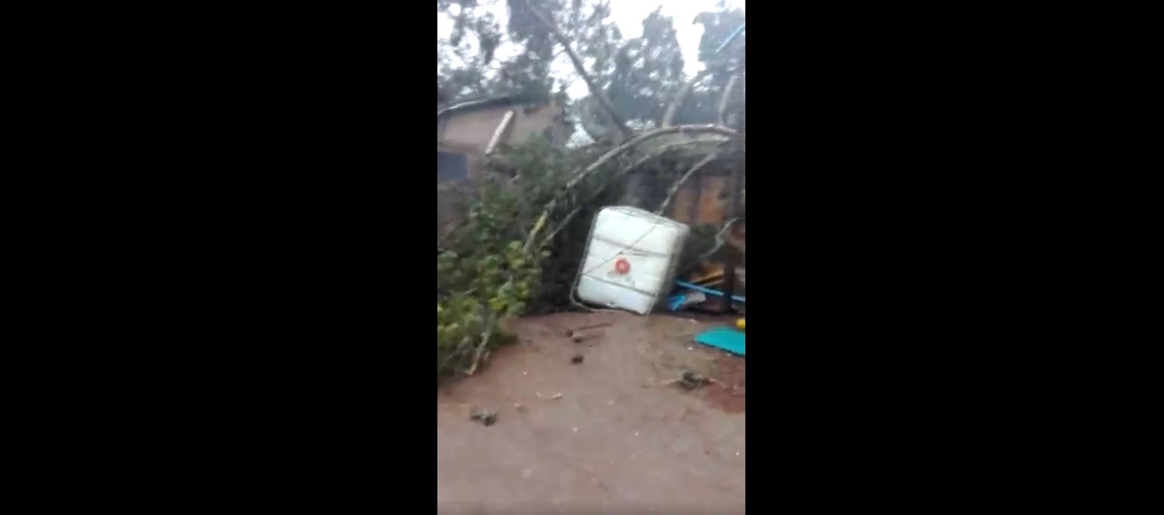 Captura de video