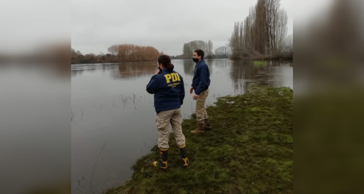 Twitter @PDI_LosRios