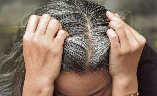 Archivo | lasprovincias.es