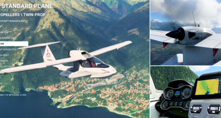 Microsoft Flight Simulator