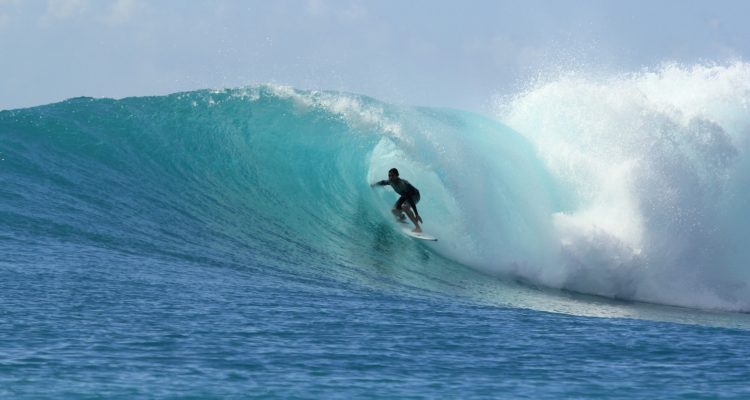 Andi Perdana en Pixabay 