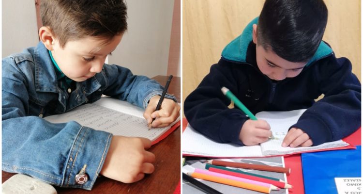 Cedida a Biobiochile