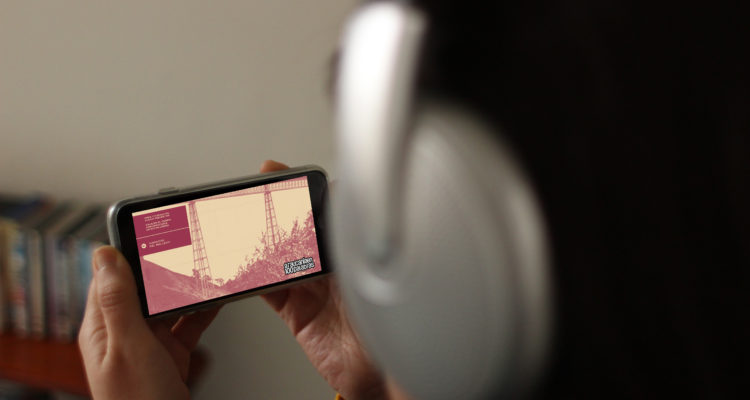 Araucanía en 100 Palabras