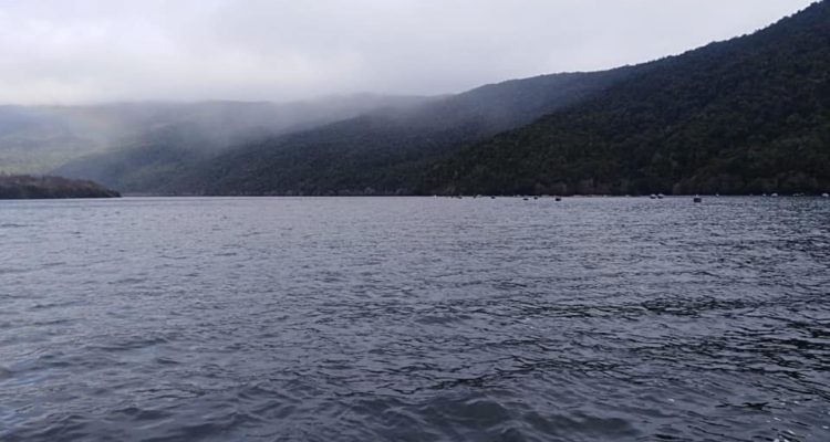 Ubro Búsqueda Rescate Osorno | Facebook