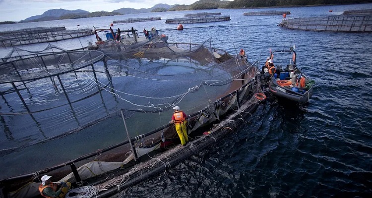 Foto de Daniel Casados (c)
