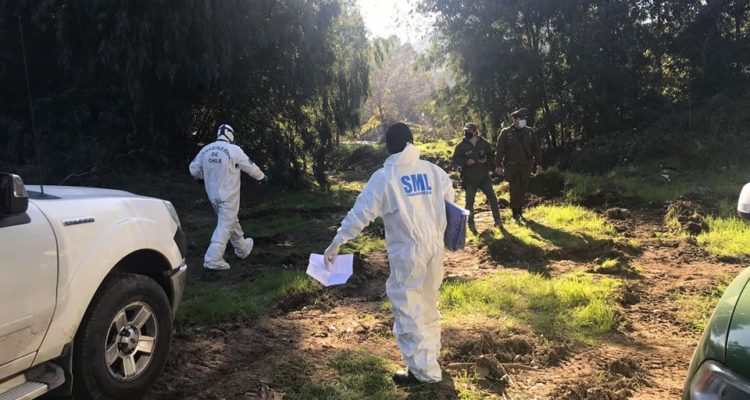 Facebook | En Línea Maule