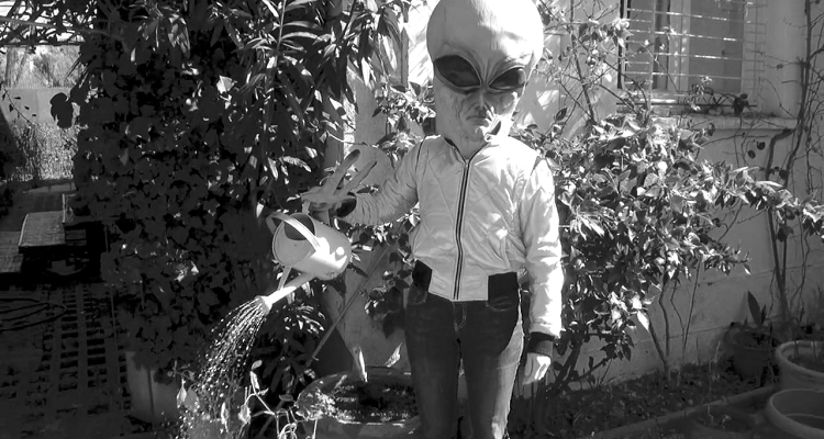 “Historias nocturnas”, Cía. de Teatro La María (c)