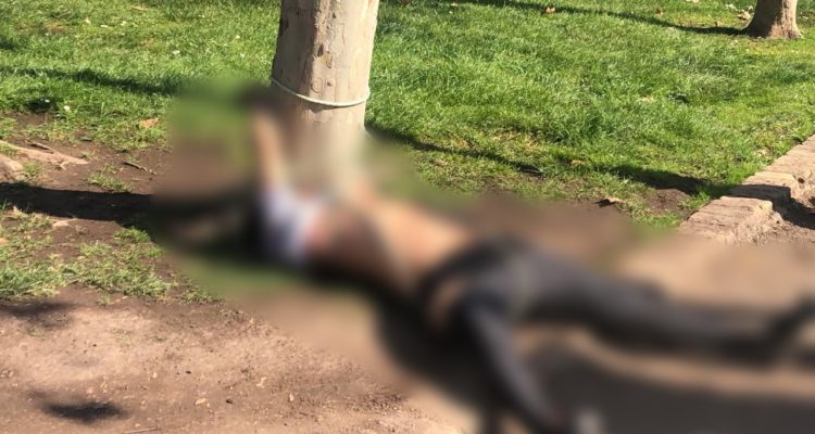 Daniela Forero-Ortiz | RBB