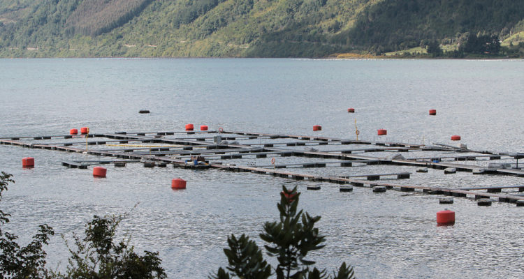 CONTEXTO | Agencia UNO