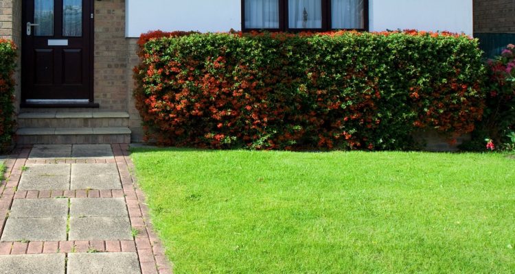 PublicDomainPictures en Pixabay 