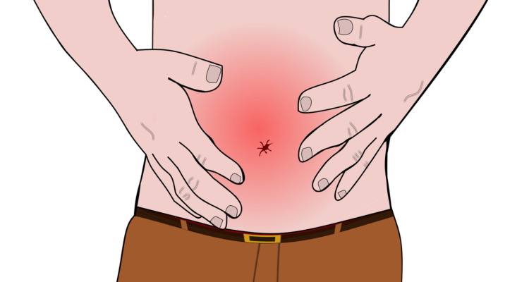 Christian Dorn en Pixabay 