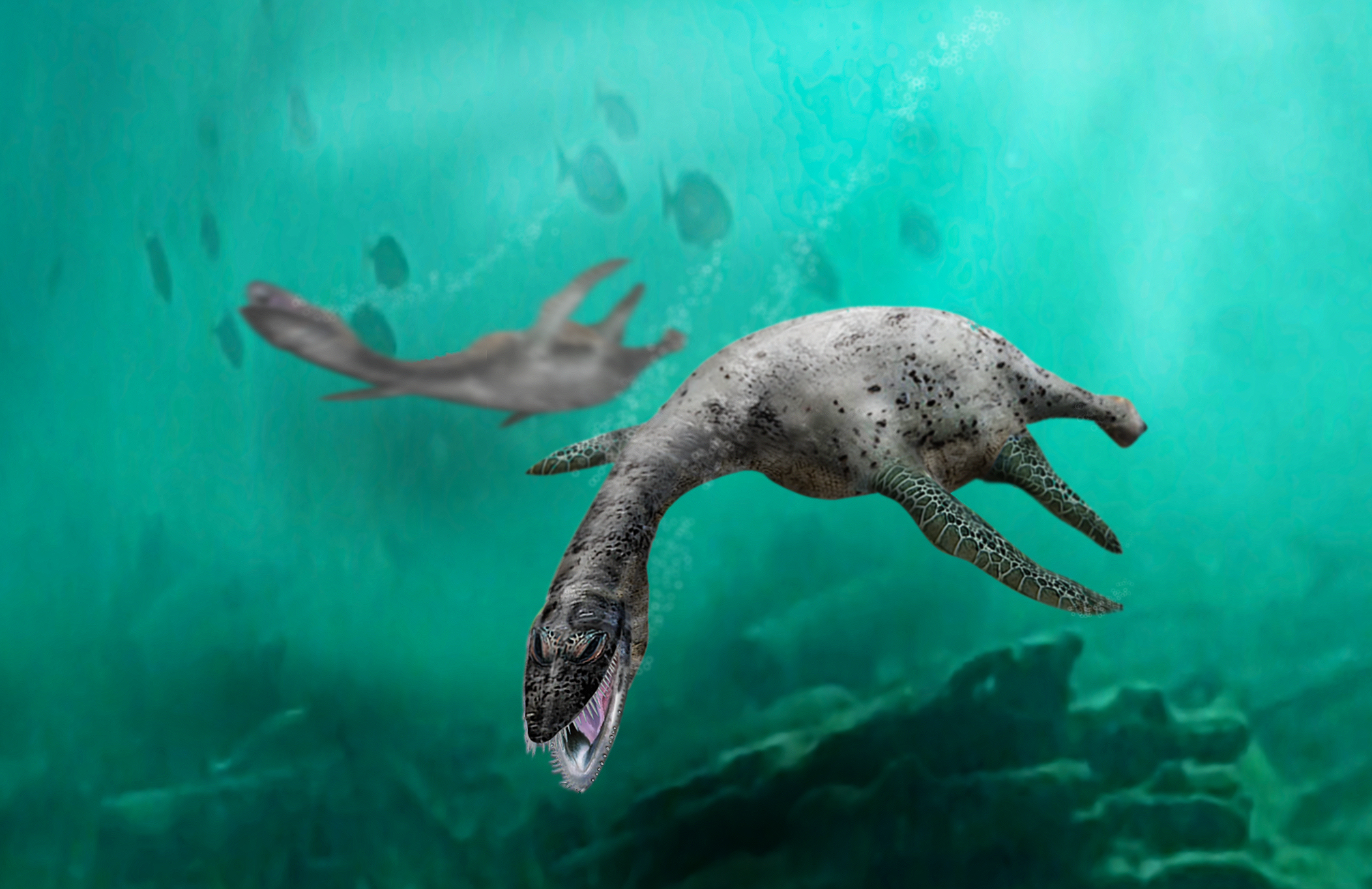 Ilustración de un Muraenosaurus | Journal of Vertebrate Paleontology