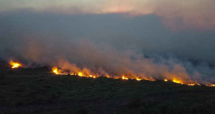 Chico Ribeiro | Gobierno estatal Mato Grosso do Sul  | Agence France-Presse
