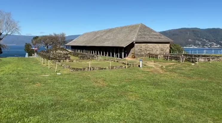 Captura de video 