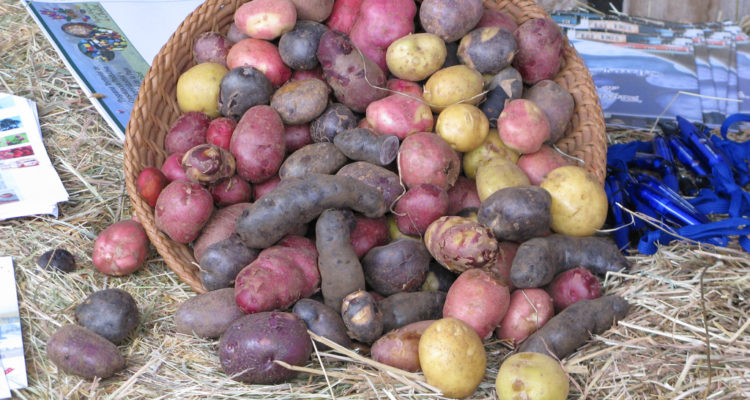 Christian Córdova | Flickr (CC)