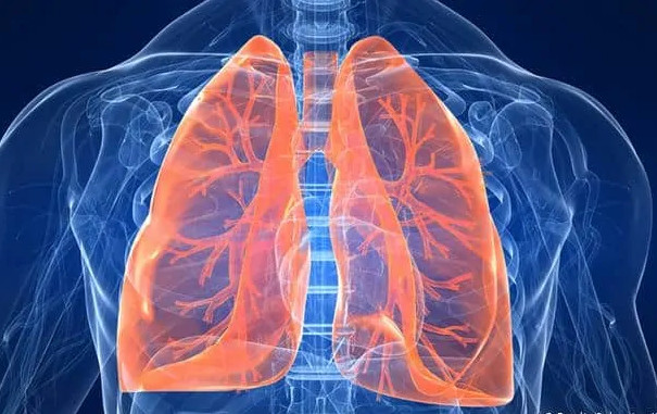 Archivo | Fotolia | Sebastian Kaulitzki