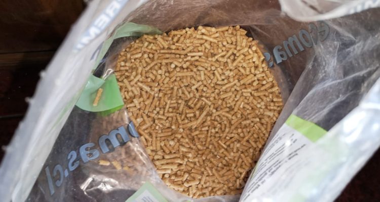 Cristian Cerna | RBB