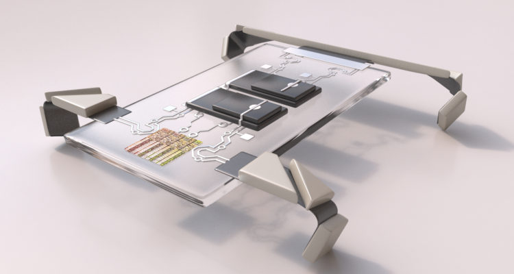 Cornell University | Agence France-Presse