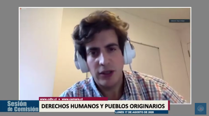 Captura | sesión del 17 de agosto comisión DDHH de la Cámara Baja.