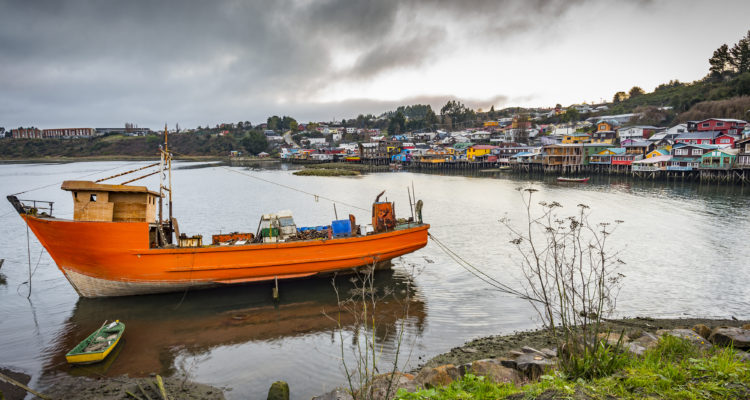 Francisco Negroni | Agencia UNO