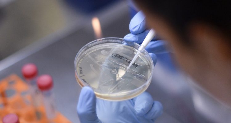 Contexto | Agence France Presse