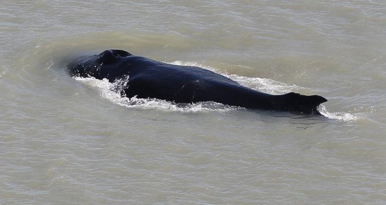 Agence France-Presse