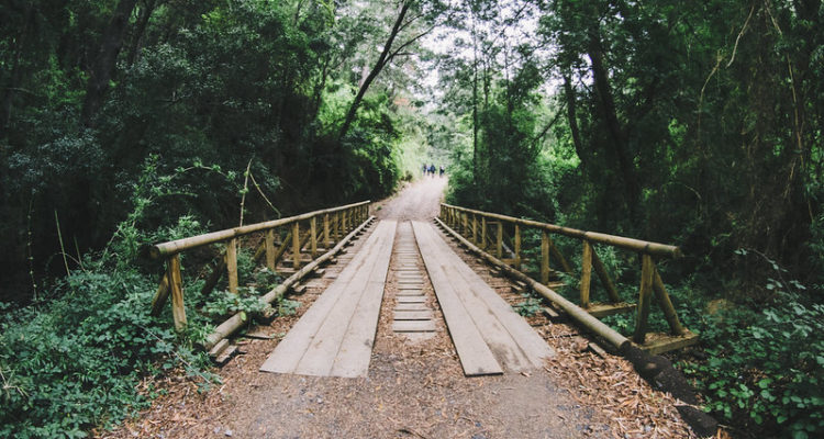 Rodrigo Gutiérrez | Flickr