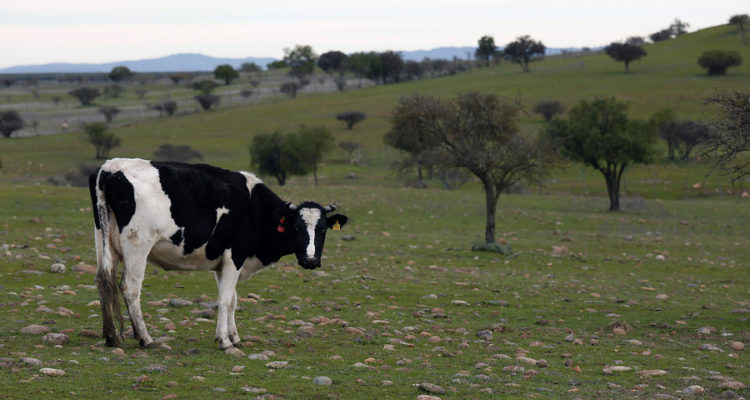 ARCHIVO | Sebastian Brogca | Agencia UNO