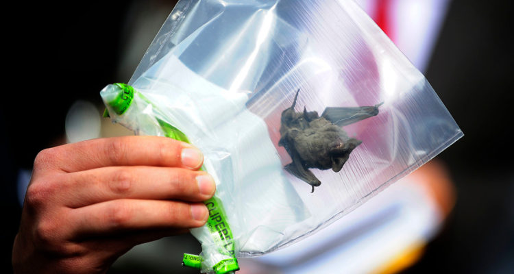 ARCHIVO | Pablo Ovalle | Agencia UNO