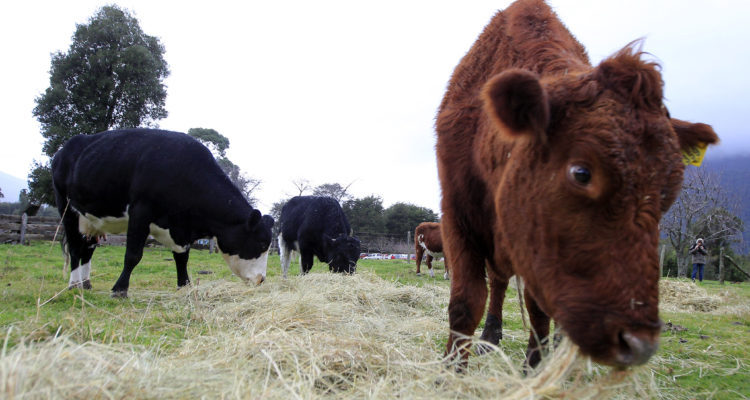 Archivo | Agencia Uno
