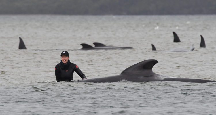 Cedida | Agence France-Presse