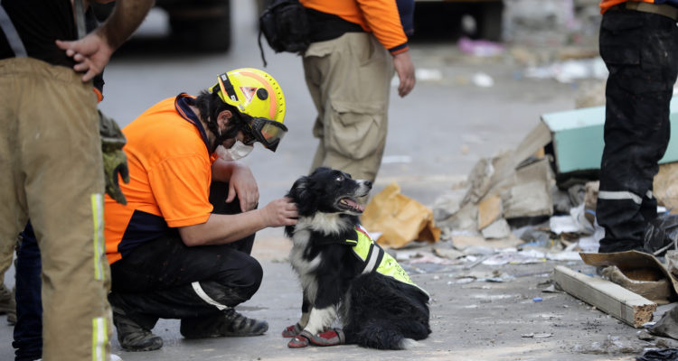 Agence France-Presse