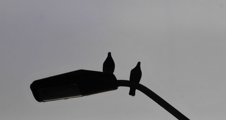 CONTEXTO | Agencia UNO