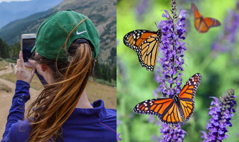 Gotta Be Worth It | Pexels (CCO)