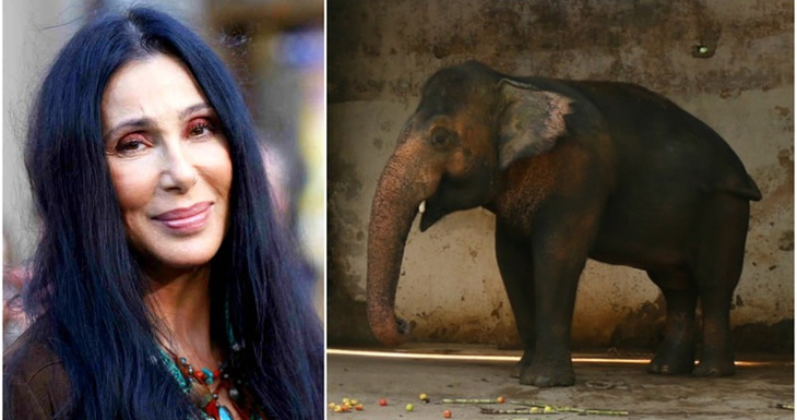 Cher y Kaavan