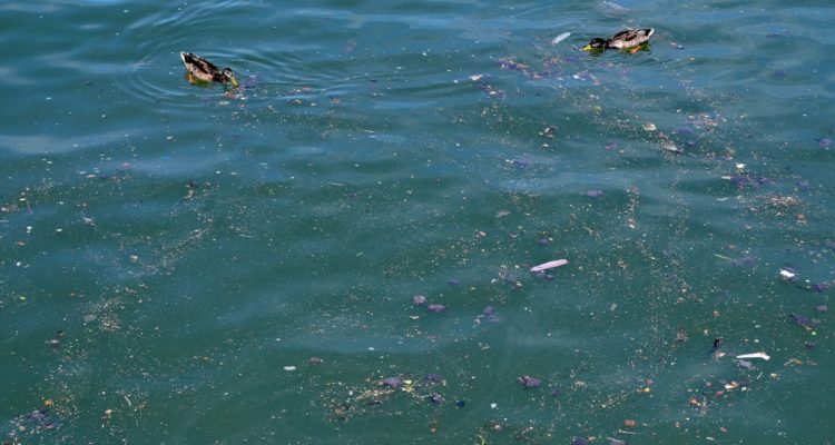 Andrej Isakovic | Agence France-Presse