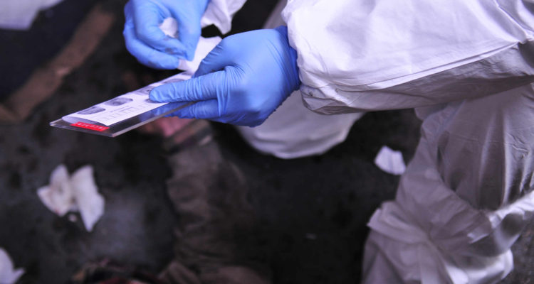 Contexto | https://pdichile.cl/