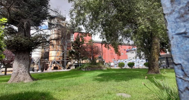 Valentina Balboa (RBB)