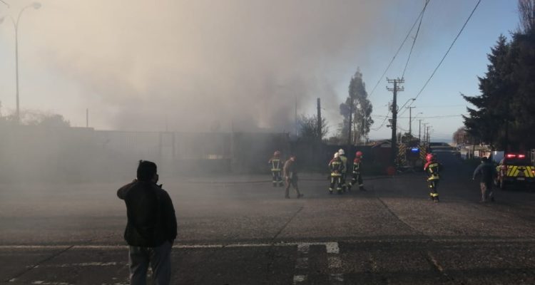 Cristián Valdebenito (RBB)