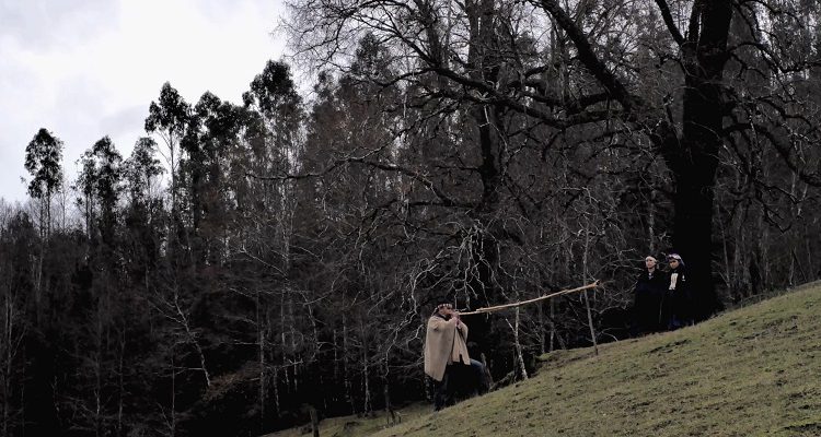 Kuifi ül, Francisco Huichaqueo (c)