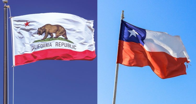 Drei Kubik y Graphical Brain | Pixabay