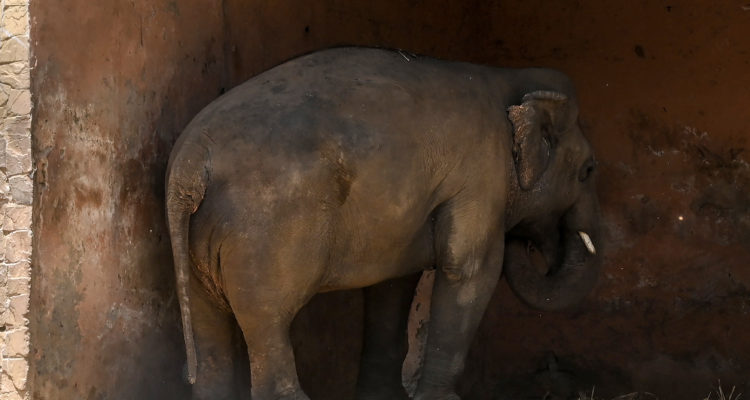 Aamir Qureshi | Agence France-Presse