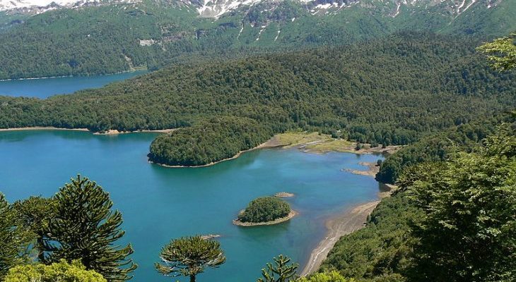 Parque Nacional Conguillío, Victoria, Chile | Wikipedia
