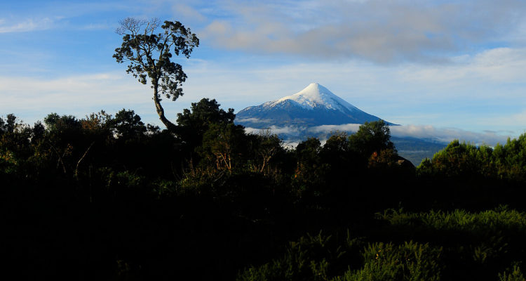Parque Nacional Vicente Pérez Rosales | Francisco Negroni | Agencia UNO