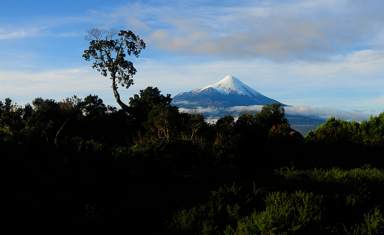 Parque Nacional Vicente Pérez Rosales | Francisco Negroni | Agencia UNO