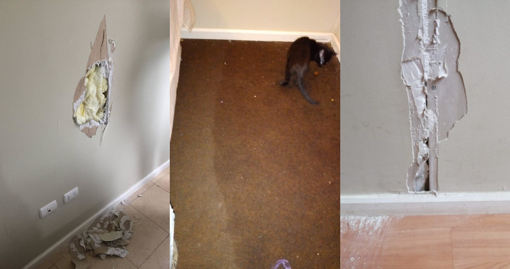 Archivo | Cedidas a RBB