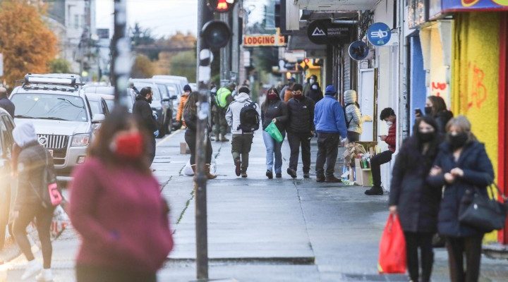 Archivo | EL Pingüino