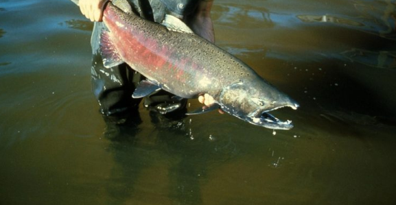 Contexto | Max Pixel
